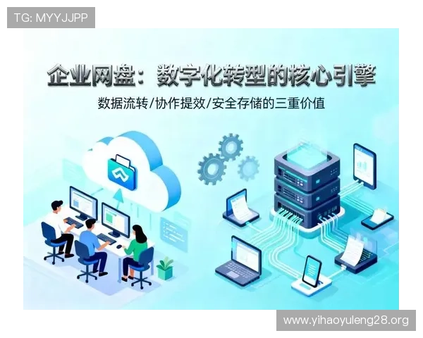 壹号网信息:壹号网在推动行业数字化转型中的角色与贡献